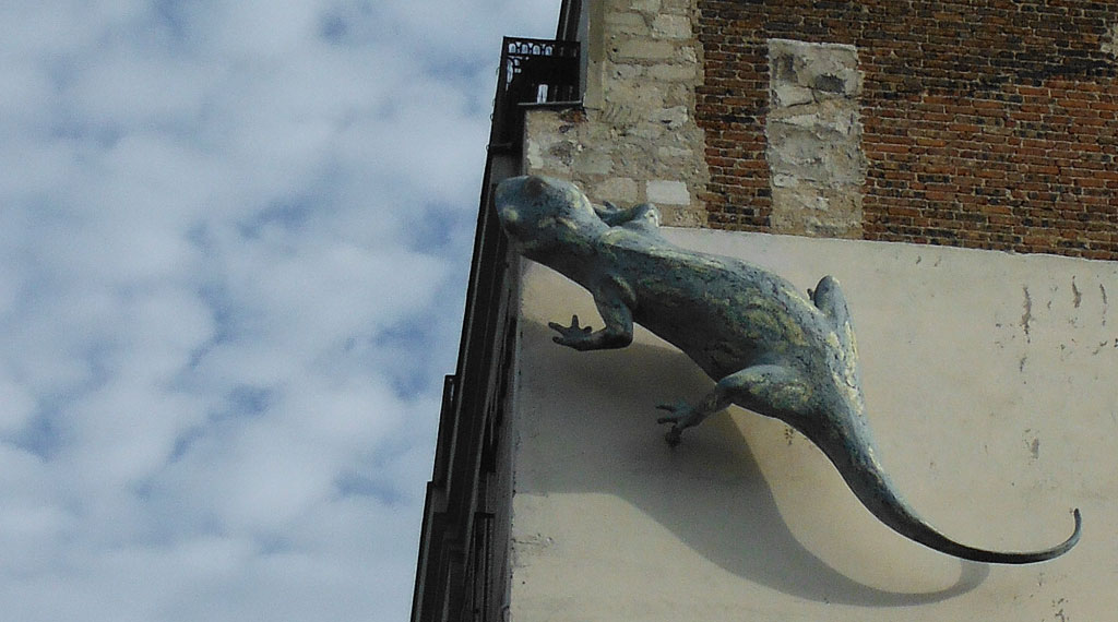 Lizard on Paris building