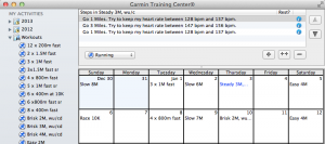 Garmin Training Center software